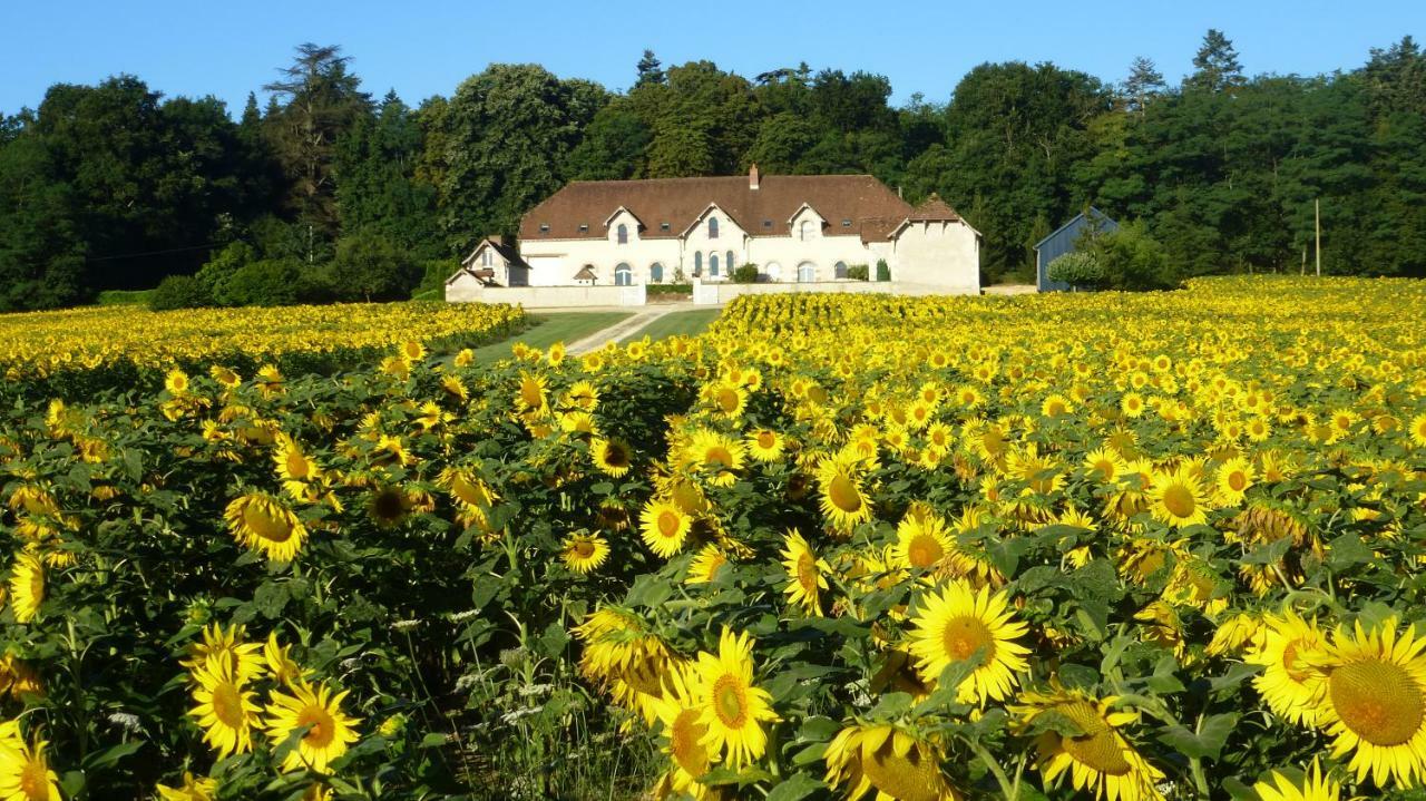 Domaine De La Maison Neuve Saint-Jean-Saint-Germain Экстерьер фото